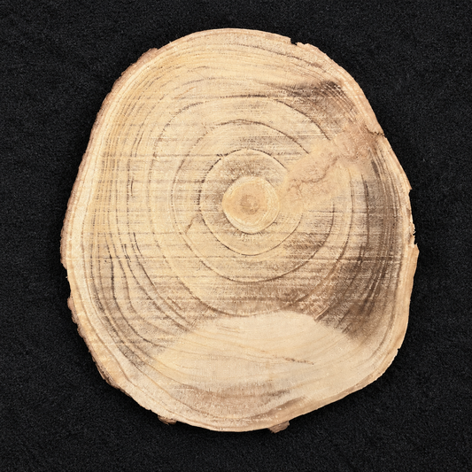 Grote natuurhouten schijf met duidelijke nerven – Buitenkansje