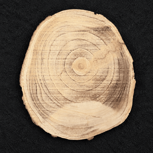 Natuurhouten schijf 40 × 30 cm met duidelijke nerven – Buitenkansje - De Knutselier
